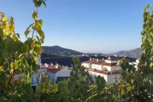 Loft El Sueño Cómpeta