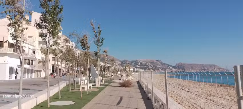 LOS AZULES DE ALTEA