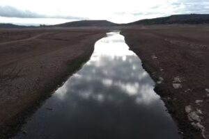 Los Hidalgos De San Mamés I y II