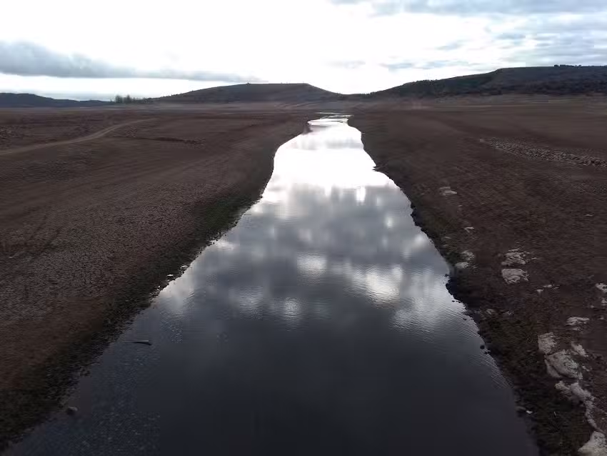 Los Hidalgos De San Mamés I y II