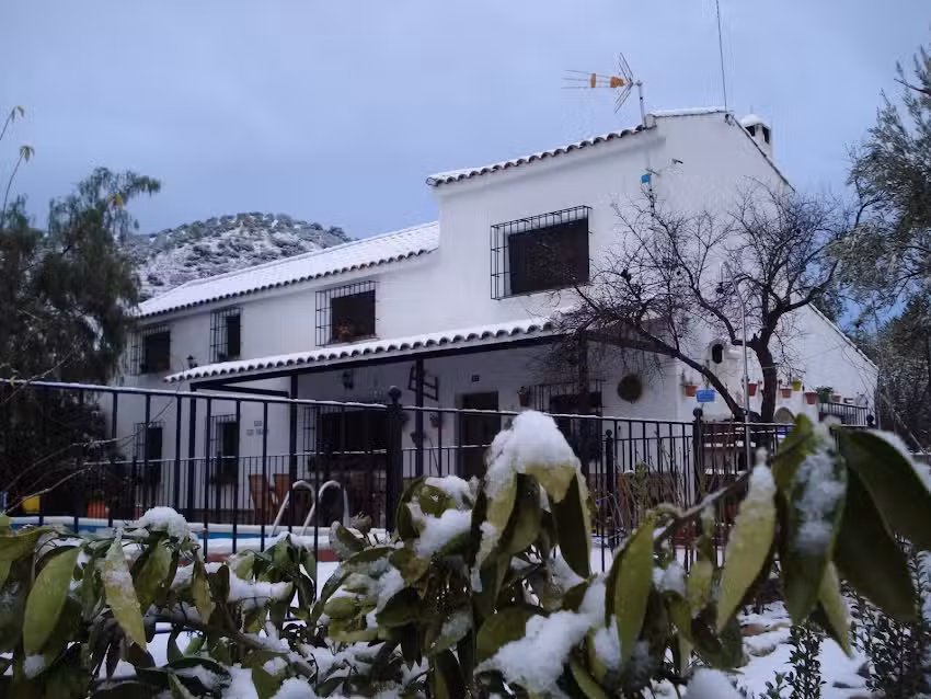 Los Solanos de Vizcantar