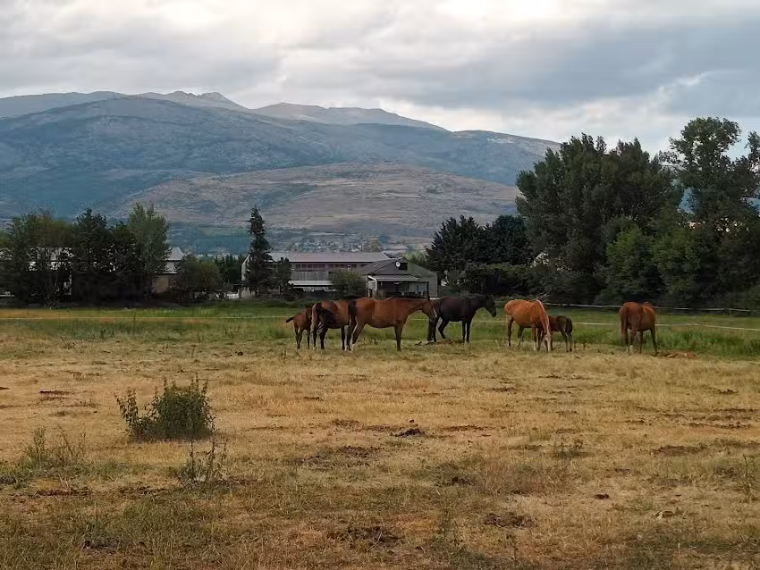 Mas d’en Cot