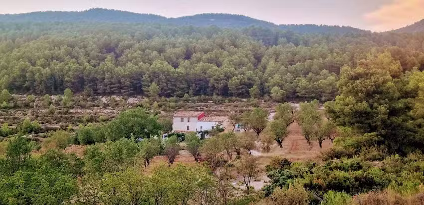 Mas de Ximo
