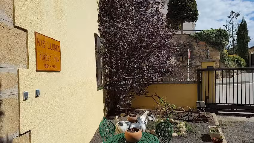 Mas Llunès