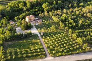 Mas Trucafort – Masia Braseria-Alojamiento