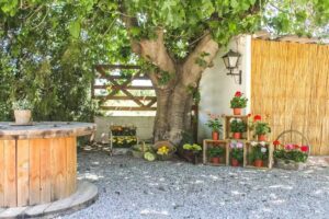 Masía San Juan «El Huerto»