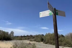 Maspalomas Gran Canaria