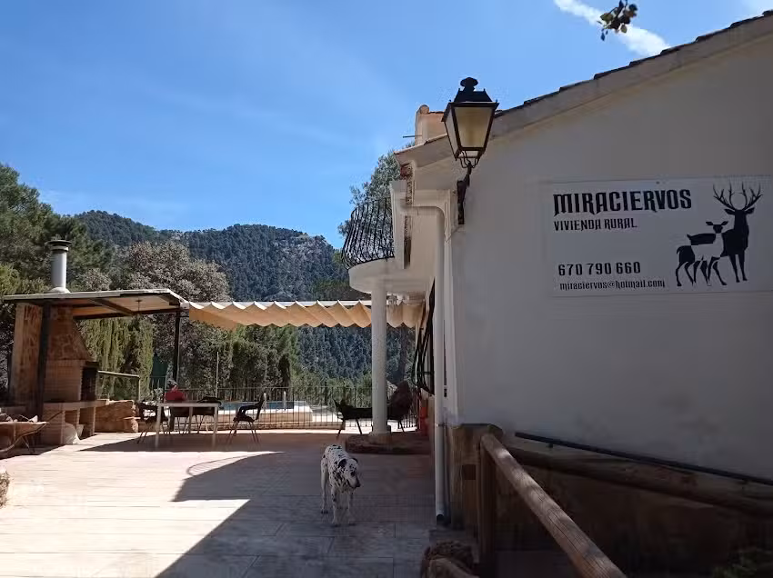Miraciervos