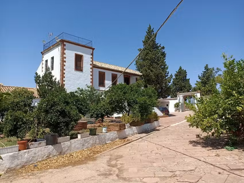 Molino Los Cardenes
