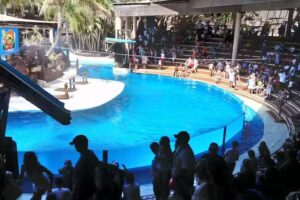 Natalis Apartamentos