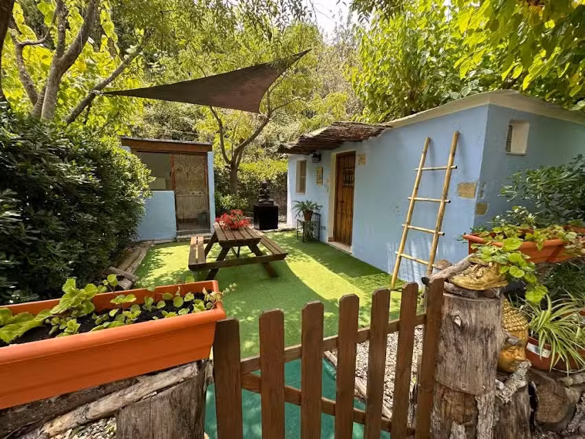 New Paradaise art Gallery