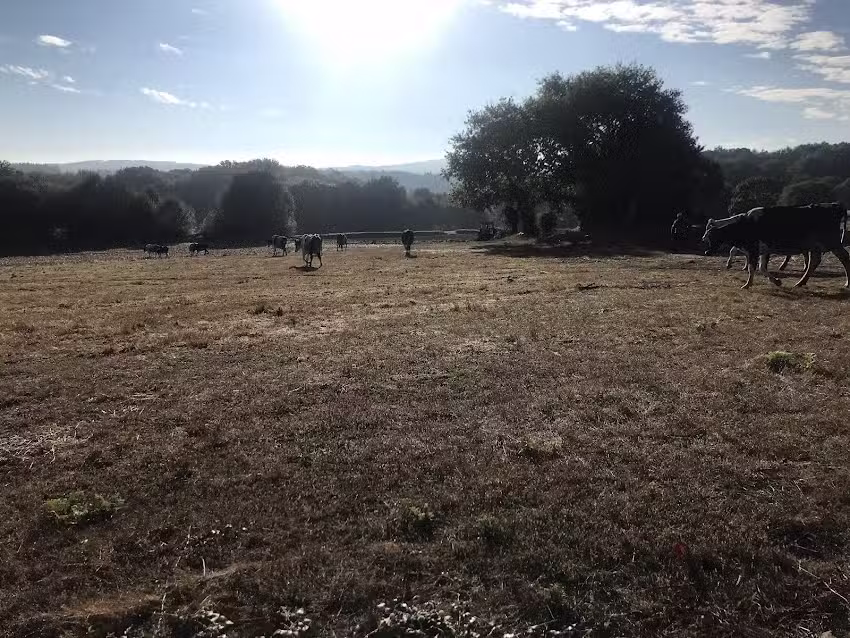 O lar de Lardeiros