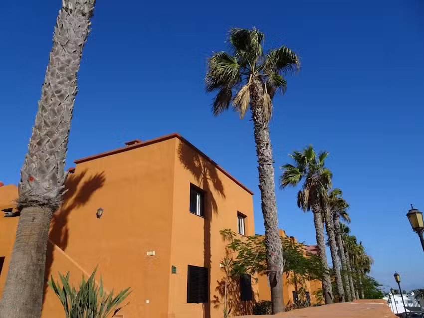 Oasis Royal Corralejo