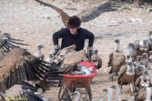 Observatorio de aves Mas de Bunyol