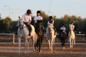 Oficina Campamentos de Verano Castillo de Layos