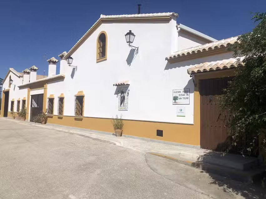 Olivar De San Telmo
