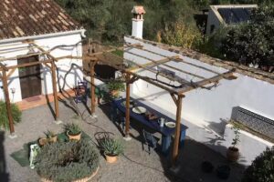 Olive Alchemy Retreat