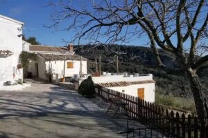 Olive Grove Farmhouse