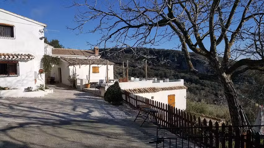 Olive Grove Farmhouse