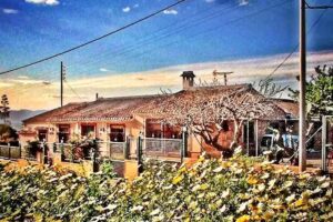 Olive Tree Bed & Breakfast