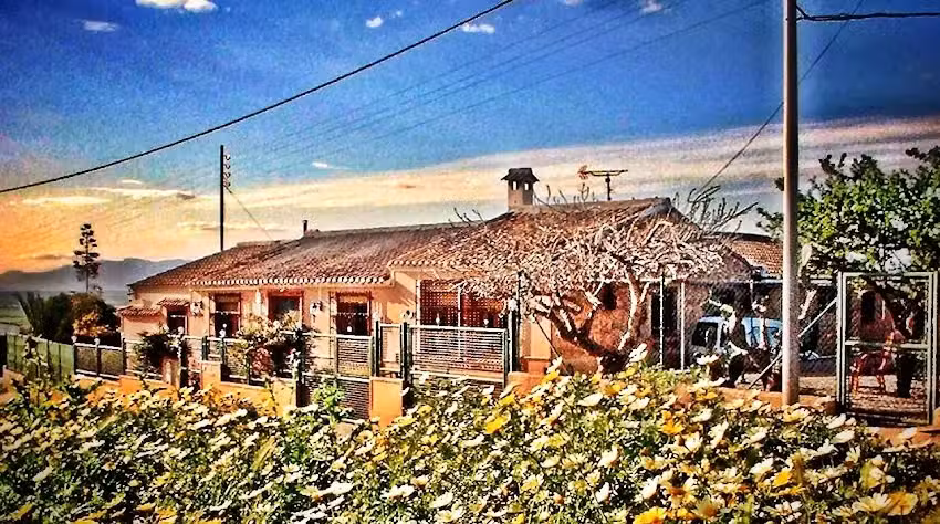 Olive Tree Bed & Breakfast