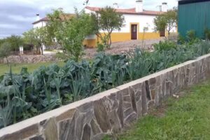 Palacio Viejo de las Corchuelas | Alojamiento en Monfragüe