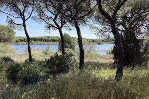 paqo lodge Laguna del Portil