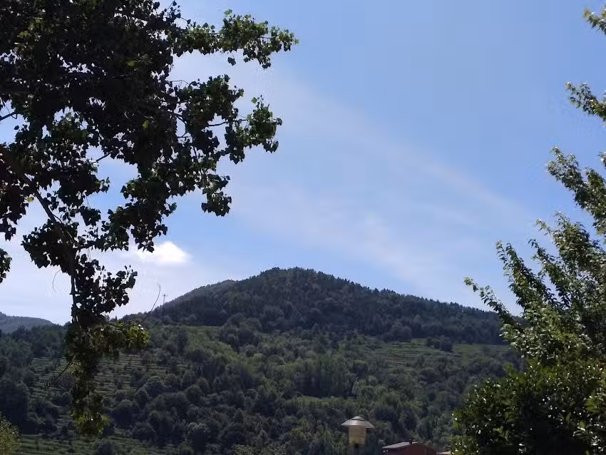 Pere