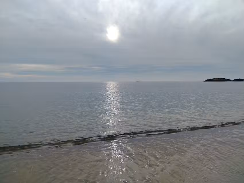 Petite canayelle roses