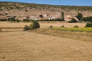 Poblado Celtíbero del Ceremeño