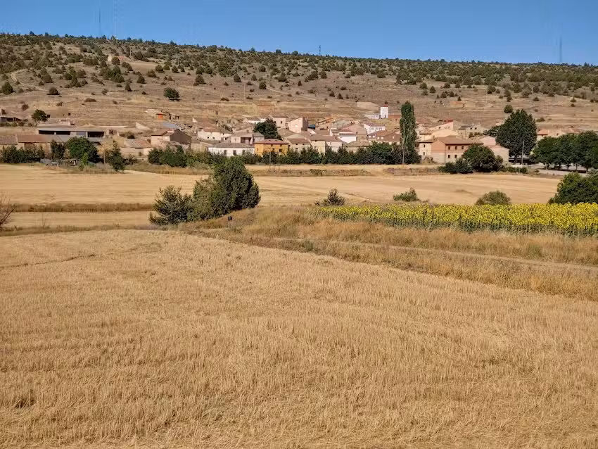 Poblado Celtíbero del Ceremeño
