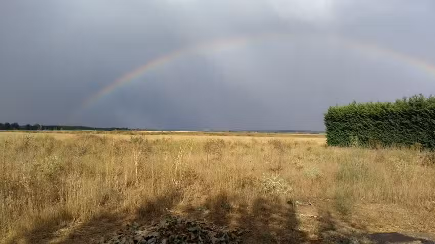 Posada Hospedería La Cenia