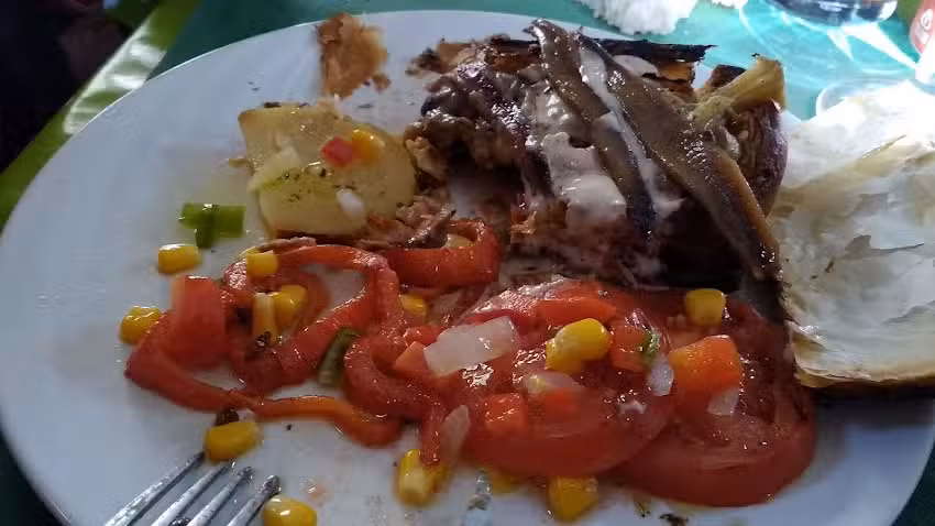 POSADA RESTAURANTE EL PURO