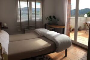 Priorat pintat amb vi – adz.cat – Montserrat Adzerias