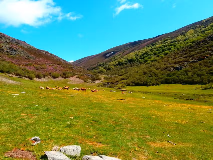 Refugio De Caboalles