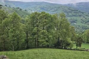 Resconorio, Cantabria