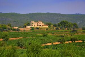 Restaurant Fonda Sport