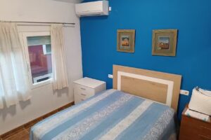 Rodenas Valero Alborea