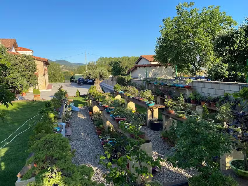 Romanca Hotel Restaurante