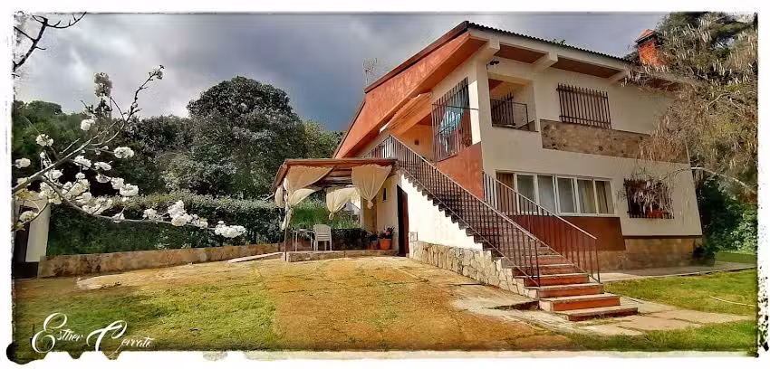 Rosa de Alejandria – Alor (AT – BA-00199)