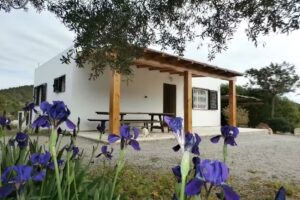 Sa Vinya Casa de Campo