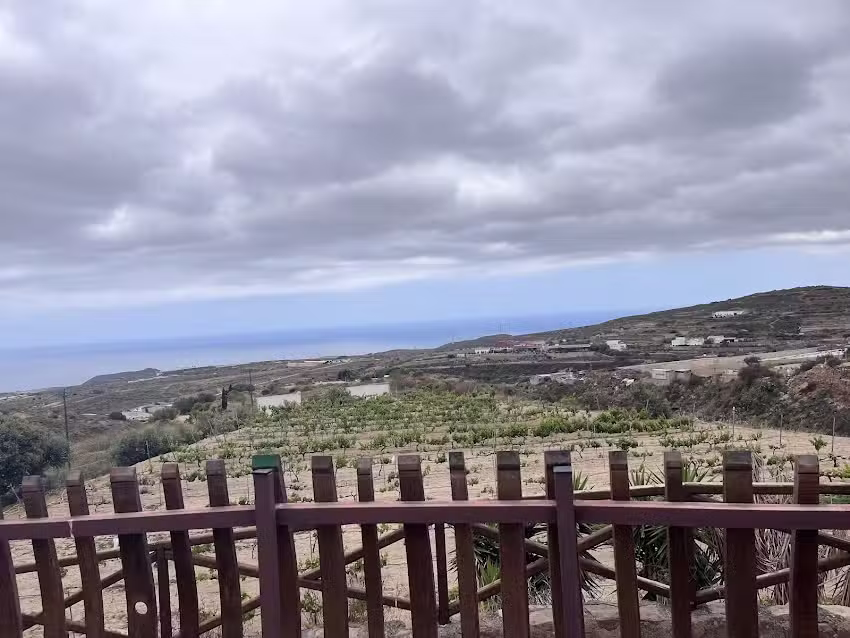 sabinita finca enrique