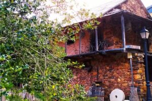 San pedro castañero