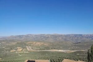 SG Alojamientos. Casa Olmos