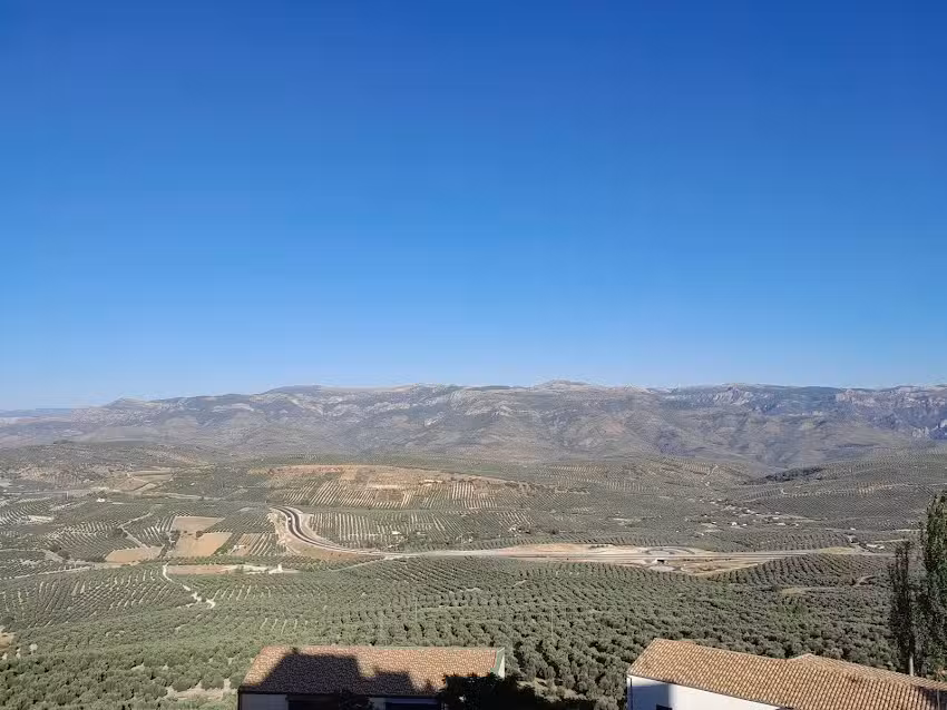 SG Alojamientos. Casa Olmos