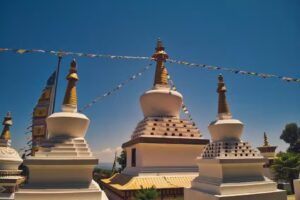 Sidro & Co. Rural Home