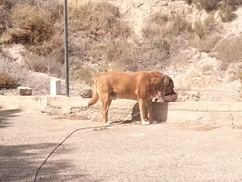 Spanje, Piet en Lutwine