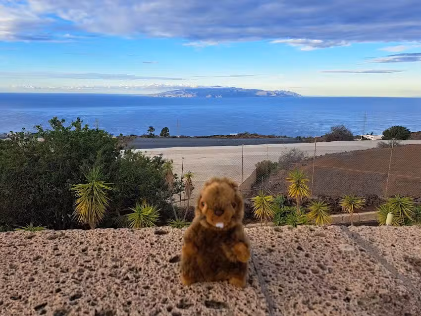 Suite Mariposa Finca Montimar