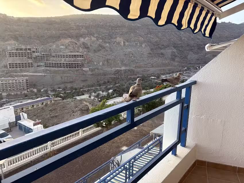 Sunny Modern Apartment – Sea View and Beach Access