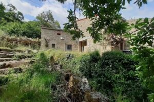 Tan Campantes – Alojamientos rurales en Gredos